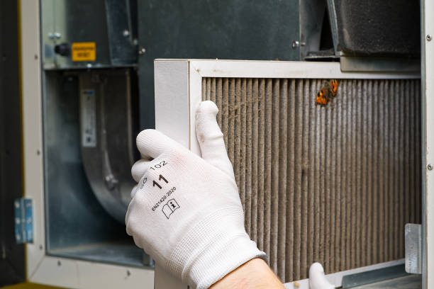 Best Affordable Air Duct Cleaning  in Coldwater, MS
